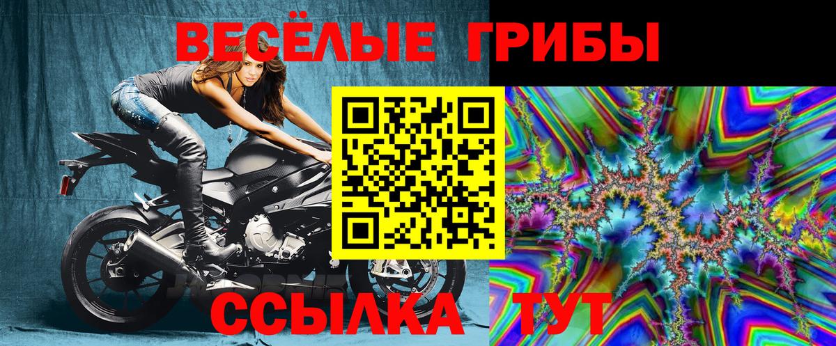 Псилоцибиновые грибы Cubensis  Вход с VPN  Полысаево 